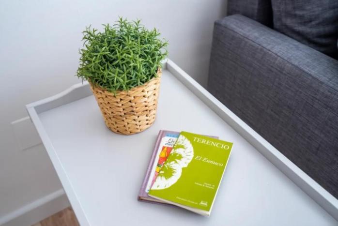 Apartamento Minaga 2 Nerja Exteriér fotografie
